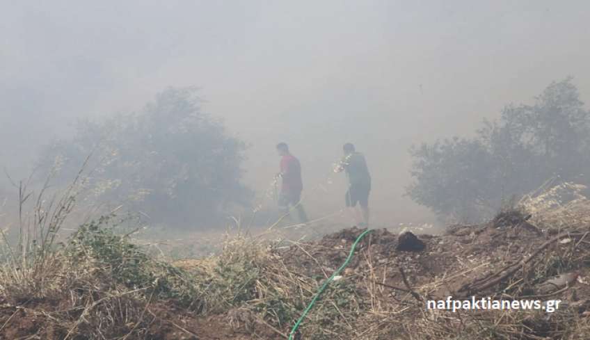Φωτιά στην Ιτέα: Βελτιωμένη εικόνα στο πύρινο μέτωπο, συνεχίζεται η μάχη με τις φλόγες