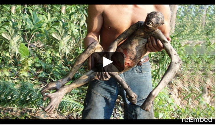 Τρομακτικό και περίεργο πλάσμα βρέθηκε νεκρό στον Αμαζόνιο!! (Βίντεο)