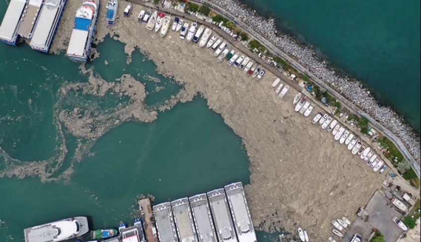 &quot;Γλίτσα&quot; στη Θάλασσα του Μαρμαρά: Πώς δημιουργήθηκε η αποκρουστική βλέννα που απειλεί το Αιγαίο [Εικόνες-Βίντεο]