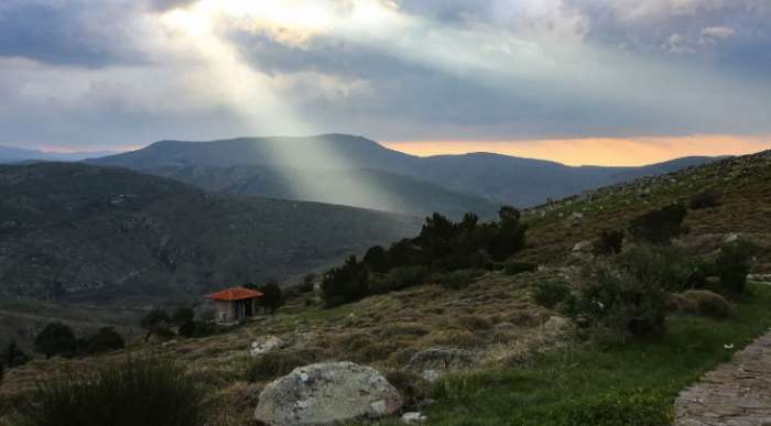 Παράταση έως τις 30/6 για τις δηλώσεις καθαρισμού οικοπέδων