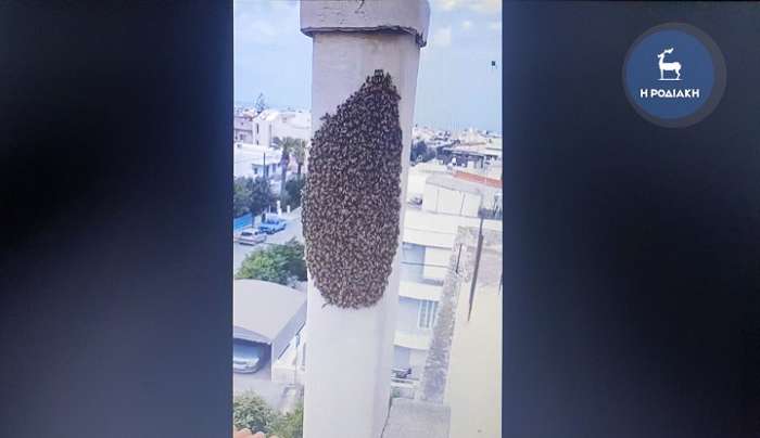 Βίντεο: Σμάρι χιλιάδων μελισσών «εγκαταστάθηκε» σε καμινάδα σπιτιού στην πόλη της Ρόδου