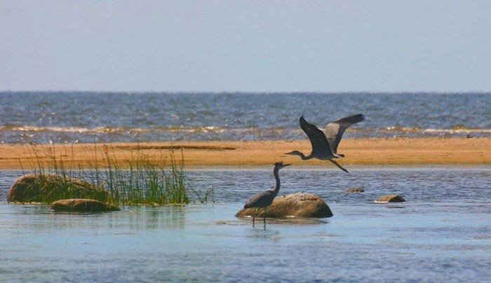 Ο νέος χάρτης των περιοχών Natura σε όλη την Ελλάδα-29 περιοχές στη Δωδεκάνησο