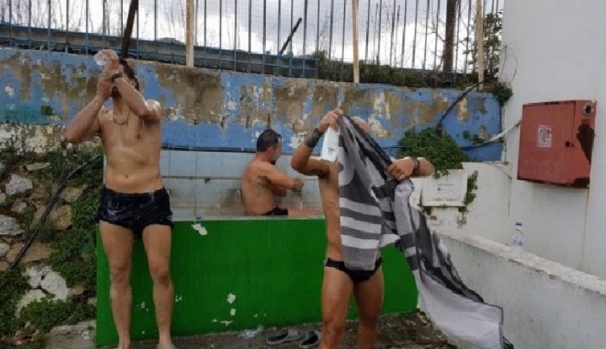 Να δούμε το δέντρο και όχι το δάσος
