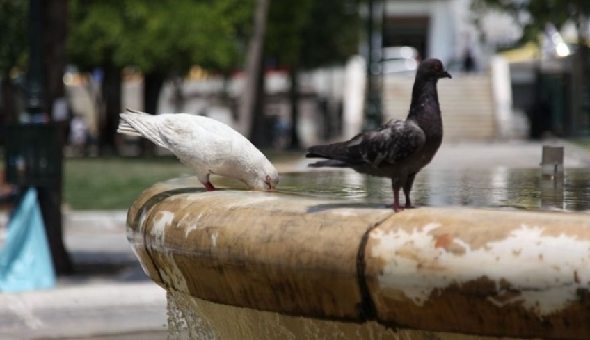 Έρχονται 30άρια από Δευτέρα