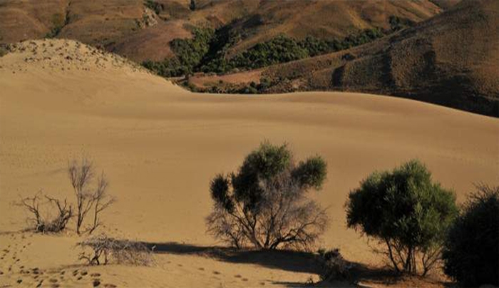 Κι όμως υπάρχει έρημος στην Ελλάδα- Δείτε τη «Σαχάρα» της Λήμνου (φωτο & βίντεο)