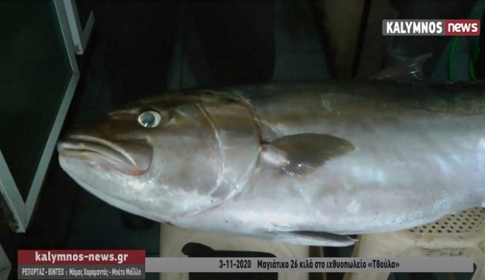 Το εντυπωσιακό μα­γιάτικο ψάρι 26 κιλών από τα νερά της Τελένδου