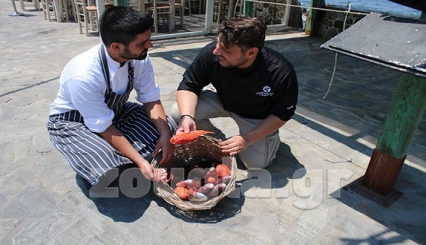 Master chef στη Νίσυρο