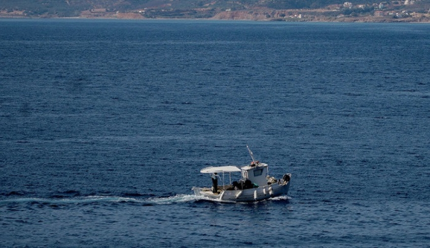 Εισβολή ξενικών ψαριών στο Αιγαίο, από την Ερυθρά θάλασσα -Κάποια τοξικά και επικίνδυνα