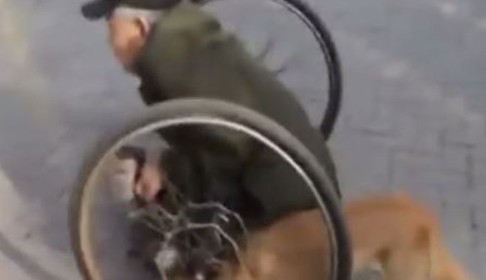 Συγκινητικό βίντεο: Πιστός σκύλος σπρώχνει το αναπηρικό καροτσάκι Ζητιάνου