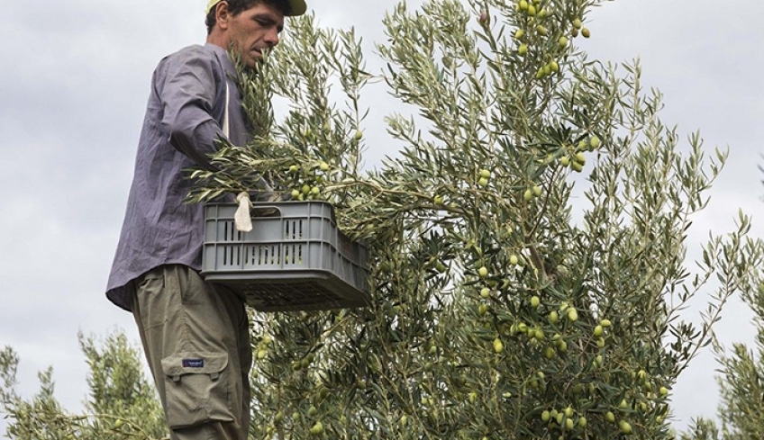 Με sms θα ενημερώνονται οι αγρότες για τα ακραία καιρικά φαινόμενα