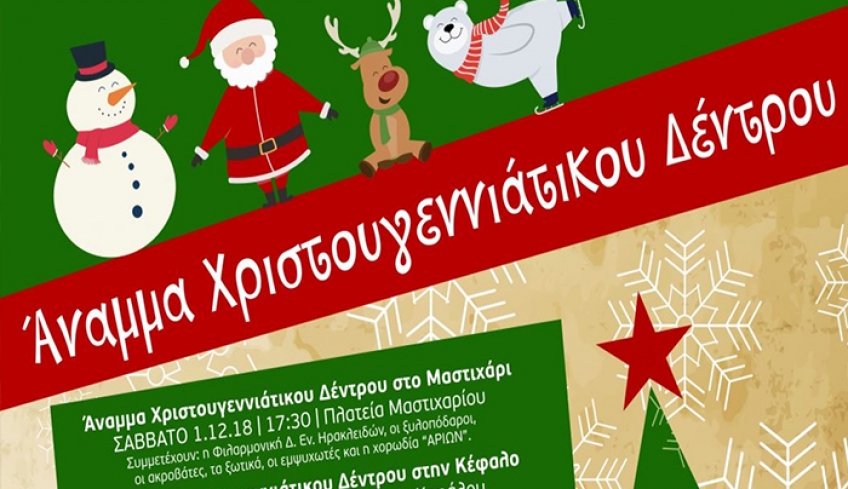 ΦΩΤΑΓΩΓΗΣΗ ΧΡΙΣΤΟΥΓΕΝΝΙΑΤΙΚΩΝ ΔΕΝΤΡΩΝ – ΧΡΙΣΤΟΥΓΕΝΝΙΑΤΙΚΑ ΠΑΖΑΡΙΑ