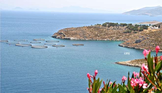 Νέο θεσμικό πλαίσιο για επισκέψιμες υδατοκαλλιέργειες στην Ελλάδα