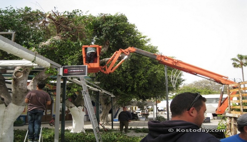 Κλειστή τη Δευτέρα 11 Νοεμβρίου η Λεωφ. Γ. Παπανδρέου λόγω εργασιών κλαδέματος