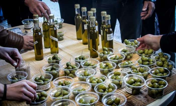Ελαιόλαδο: Πληρώνουμε τιμές Λονδίνου και Παρισιού – Το crash test με το ηλιέλαιο