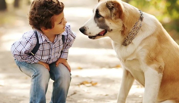 Νέα έρευνα: Οι σκύλοι αναγνωρίζουν τα ανθρώπινα συναισθήματα