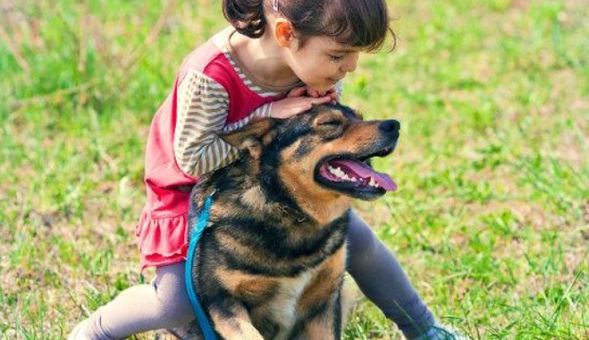 Σκύλος σώζει 10χρονο κορίτσι από βιασμό!