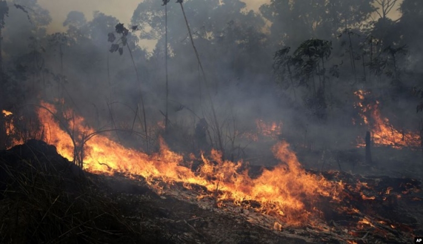 Δραματική η κατάσταση στον Αμαζόνιο: Εξαπλώνονται οι φωτιές - 3.859 νέες εστίες