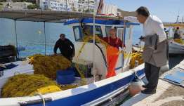 «Πρόταση του Μάνου Κόνσολα για στήριξη των αλιέων με επιδότηση στα καύσιμα, ουσιαστική ενεργοποίηση του προγράμματος για τον λαγοκέφαλο και καταπολέμηση της παράνομης αλιευτικής δραστηριότητας»