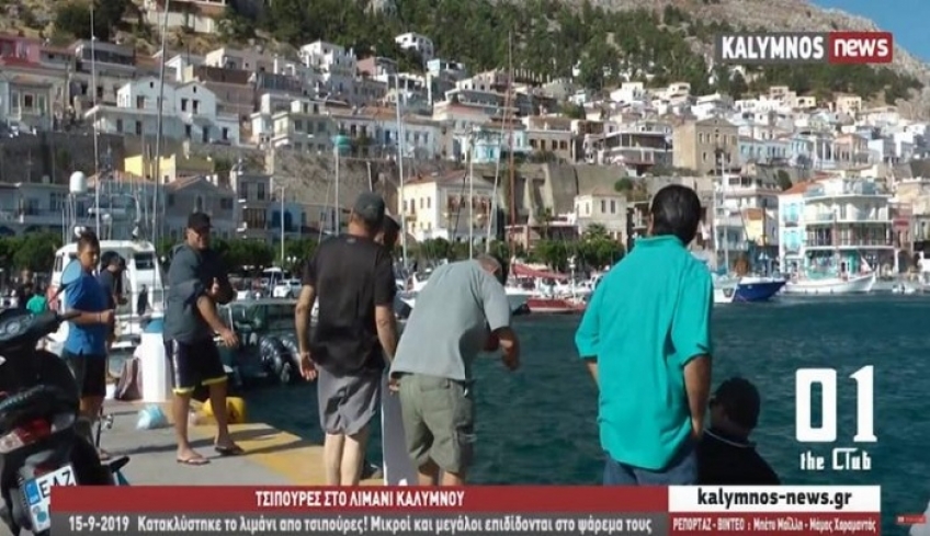 Γέμισε το λιμάνι της Καλύμνου από τσιπούρες! Μικροί και μεγάλοι στο ψάρεμα τους