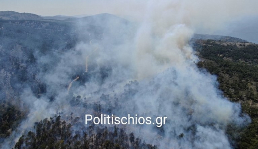 Μεγάλη πυρκαγιά στην περιοχή του Αναβάτου Χίου (video)