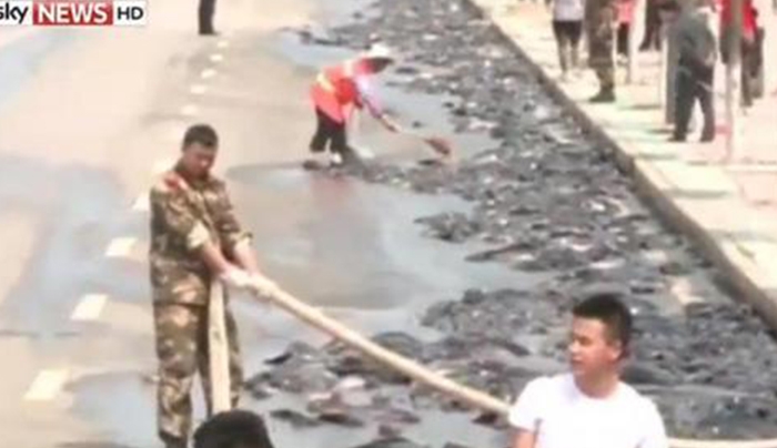 Βίντεο: 5 τόνοι ζωντανών ψαριών προκάλεσαν χάος σε δρόμο της Κίνας