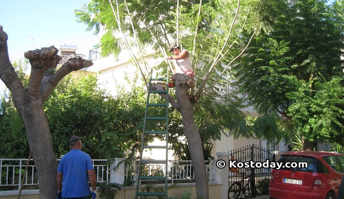 Δήμος Κω: Προγραμματισμένες εργασίες από Δευτέρα 11-09-2017 έως Παρασκευή 15-09-2017