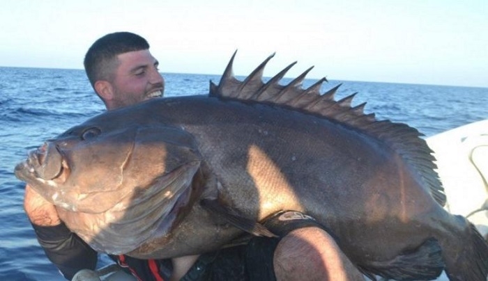 Χανιά: Έπιασε αυτό το ψάρι στα 190 μέτρα – Ο τυχερός ψαράς χώρεσε με δυσκολία στην ίδια φωτογραφία [pics]