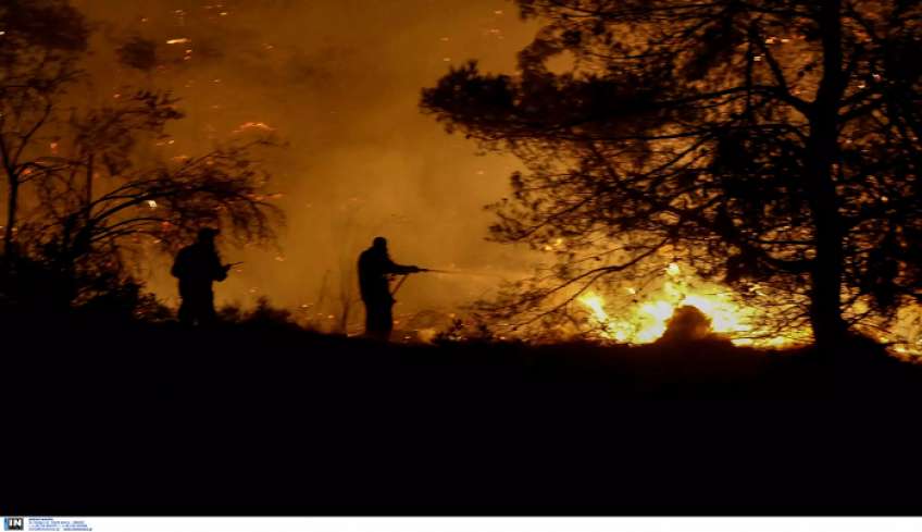 Φωτιά στον Έβρο: Νύχτα αγωνίας – Μάχη για να σωθεί το Εθνικό Πάρκο της Δαδιάς