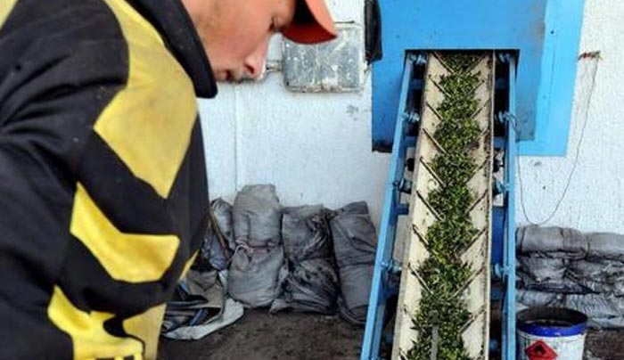 Πώς θα πάρετε πριμοδότηση έως 500 χιλ. ευρώ για 11 γεωργικά προϊόντα