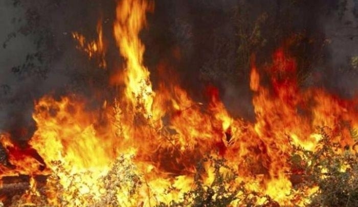 Φωτιά στη Λέρο - Έκκληση του δημάρχου για εναέρια μέσα