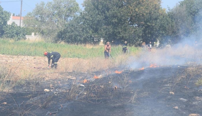 ΦΩΤΙΑ ΣΤΗ ΜΕΣΣΑΡΙΑ (φωτο - βίντεο)