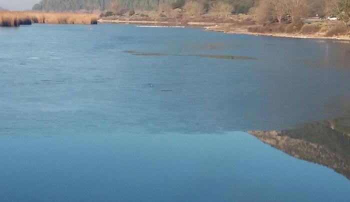 Γιάννενα: Πάγωσαν τμήματα της λίμνης Παμβώτιδας - Ο θρύλος που αναβιώνει [φωτό]