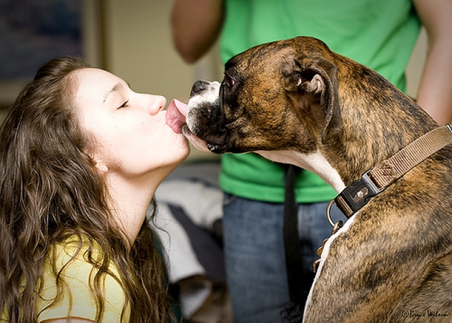 Δες τι μπορείς να πάθεις αν φιλάς τον σκύλο σου στο στόμα!