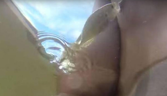 Ψάρι εκτοξεύτηκε και του δάγκωσε τη ρώγα! (Βίντεο)