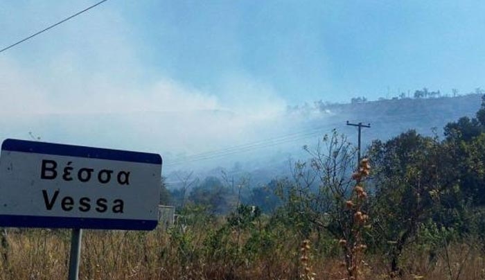 Η επόμενη ημέρα μετά την καταστροφή στη Χίο – Χιλιάδες καμένα μαστιχόδεντρα