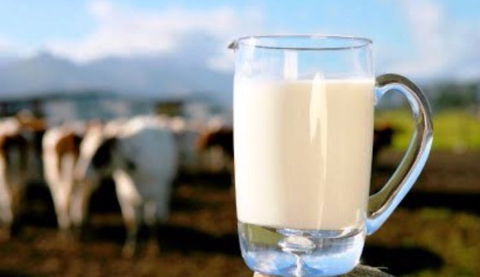 “Απλώς φρέσκο” το νέο γάλα της ΒΑΠ Κουγιός