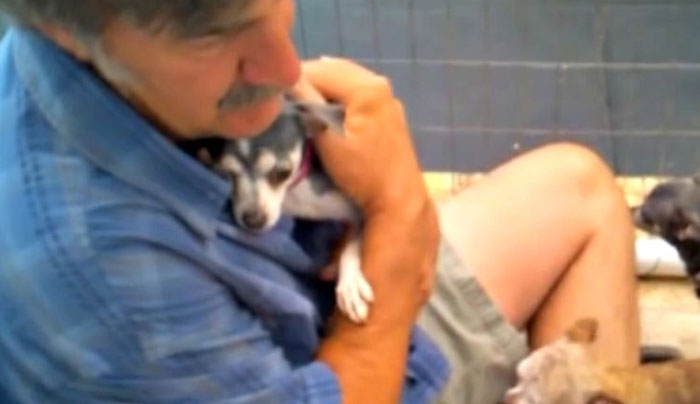 Αυτό το σκυλάκι δεν το έχουν αγγίξει ΠΟΤΕ! Δείτε την αντίδρασή του όταν το παίρνουν για πρώτη φορά αγκαλιά… (Βίντεο)