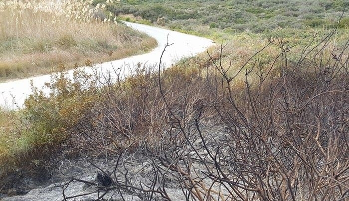Φωτιά στο Μαστιχάρι (φωτό)