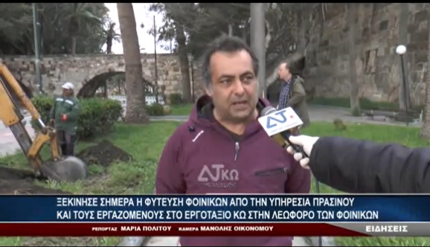 ΞΕΚΙΝΗΣΕ Η ΦΥΤΕΥΣΗ ΦΟΙΝΙΚΩΝ ΑΠΟ ΤΗΝ ΥΠΗΡΕΣΙΑ ΠΡΑΣΙΝΟΥ ΚΑΙ ΤΟΥΣ ΕΡΓΑΖΟΜΕΝΟΥΣ ΣΤΟ ΕΡΓΟΤΑΞΙΟ ΚΩ