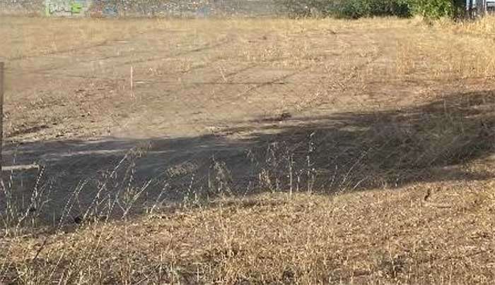 Ακαθάριστα Οικόπεδα: Νέα προθεσμία ως τις 15 Ιουλίου 2024 για καθαρισμούς