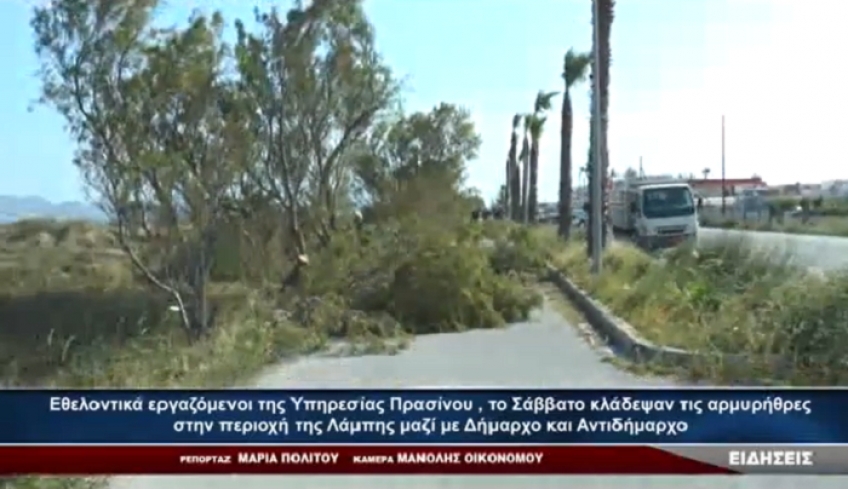 Εθελοντικά εργαζόμενοι της Υπηρεσίας Πρασίνου κλάδεψαν τις αρμυρήθρες στην Λάμπη μαζί με τον δήμαρχο