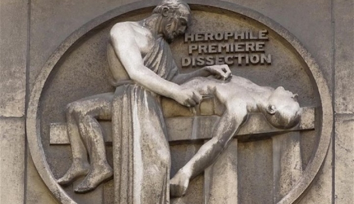Τηλεοπτική παραγωγή για «Το ημερολόγιο του Ιπποκράτη»