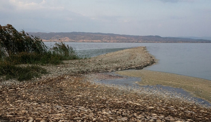 Κλιματική αλλαγή: Ποιες περιοχές της Ελλάδας απειλούνται με υποβάθμιση -SOS από τον καθηγητή Ζερεφό
