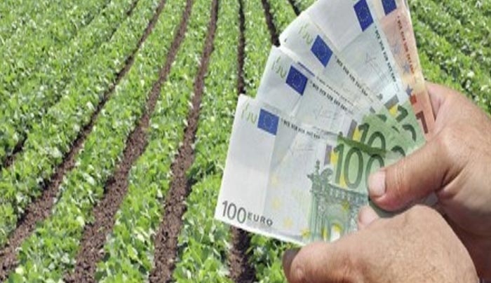 Σύνταξη στους αγρότες απο τον ΟΓΑ στα 62 με 40 έτη και με αναγνώριση πλασματικών