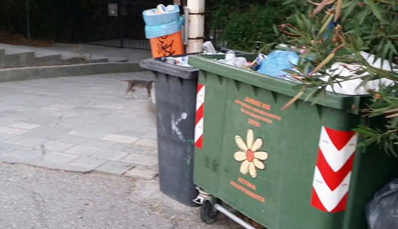 Ι. Ρούφα: Μήπως πρέπει να απευθυνθούμε στο δήμο Επιδαύρου στον οποίο ο κος Κυρίτσης παραχώρησε την έδρα του Δικτύου Πόλεων με Ασκληπιεία;;;