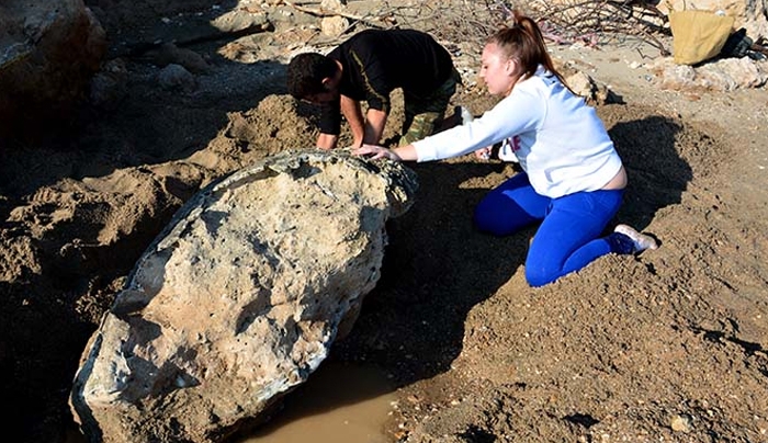 Απολιθωμένες χελώνες 3 εκατ. ετών ανακαλύφθηκαν στην Πιερία- Η μία ζυγίζει 800 κιλά [εικόνες]