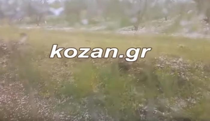 Xαλάζι σε μέγεθος φουντουκιού στην Κοζάνη - ΒΙΝΤΕΟ
