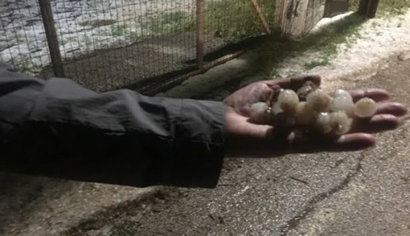 Μεγάλες ζημιές στην Αρκαδία από την χαλαζόπτωση της Τρίτης - ΒΙΝΤΕΟ