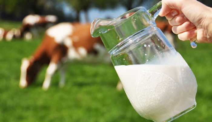 Σε ισχύ η κατάργηση των ποσοστώσεων στο γάλα