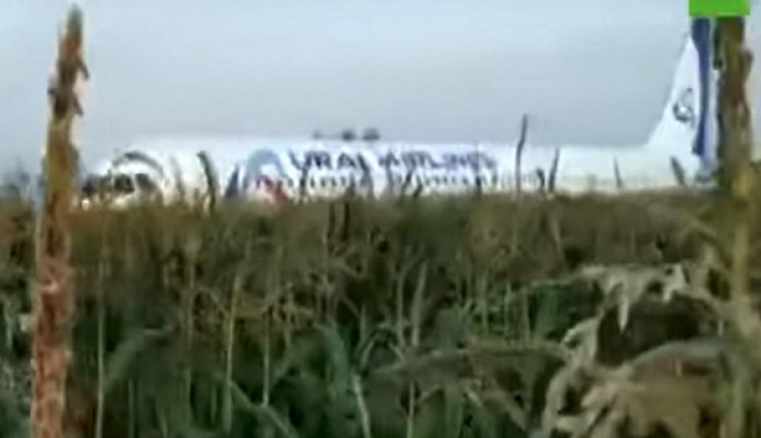 Ρωσία: Αναγκαστική προσγείωση αεροσκάφους με 10 τραυματίες -Μπήκαν πουλιά στους κινητήρες [βίντεο]